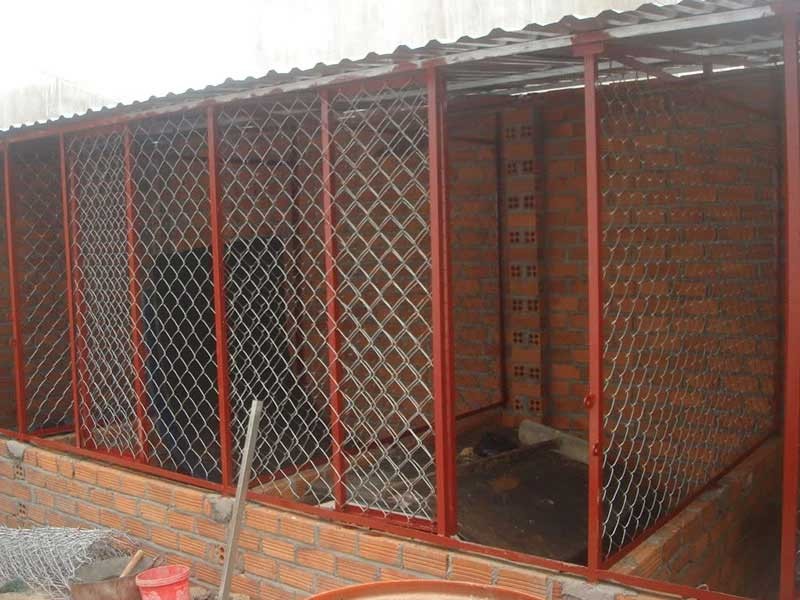 Chuồng trại cho gà bạn nên bố trí sạch sẽ và thông thoáng